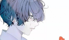 动漫壁纸男,捕捉时光中的少年风采