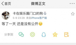 吃瓜爆料的在哪个网站,吃瓜爆料，热门网站背后的秘密大公开